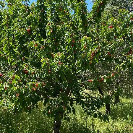 Casa Gianre 컨트리하우스