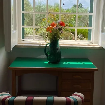 Casa Gianre * 모노폴리