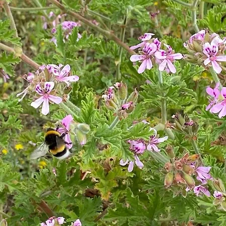 컨트리하우스 Casa Gianre