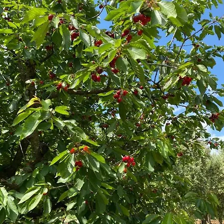 Casa Gianre 컨트리하우스