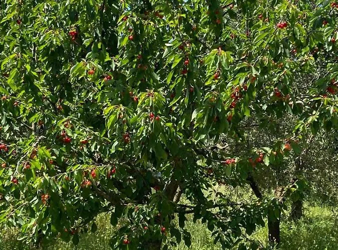 Casa Gianre Casa de Campo