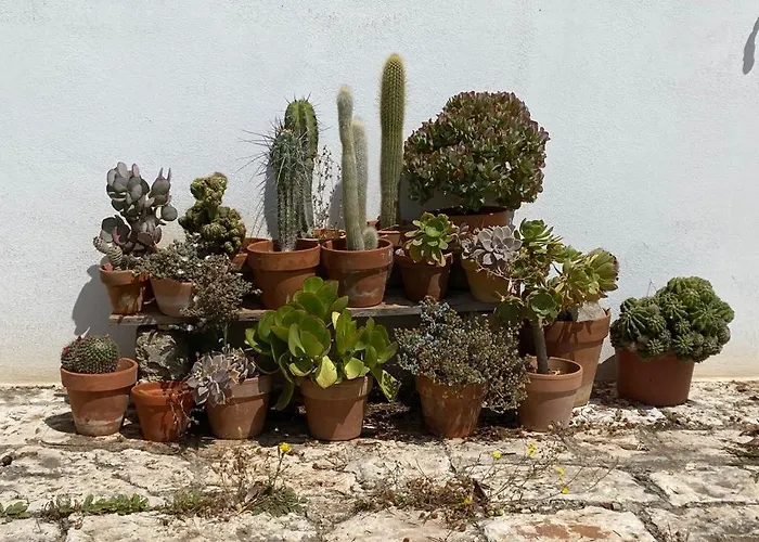 Casa Gianre Casa de Campo Monopoli