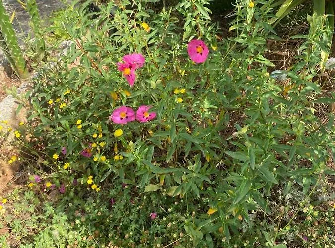 Casa de Campo Casa Gianre Monopoli