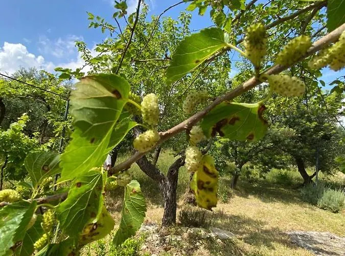 Casa Gianre * Monopoli