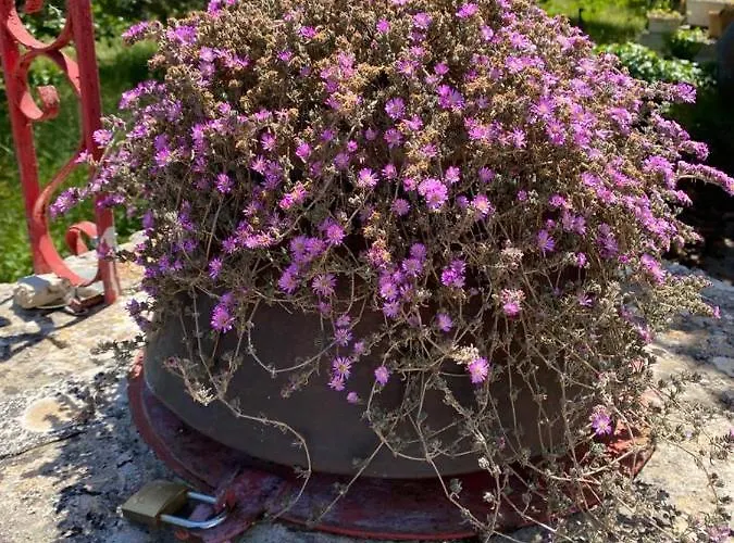 Casa Gianre Monopoli