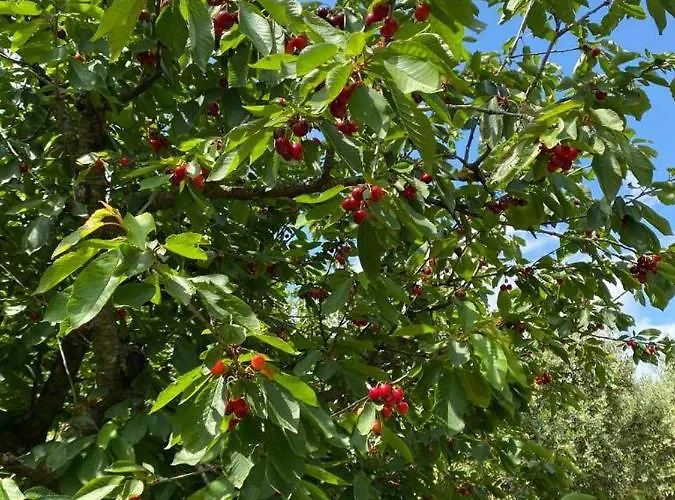 Casa Gianre Casa de Campo