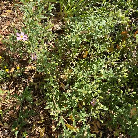 Casa Gianre Εξοχικό σπίτι *