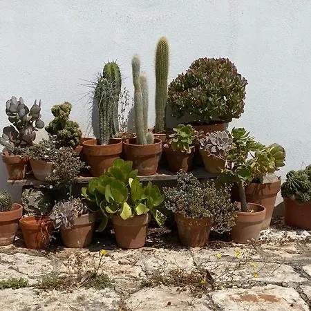 Casa Gianre Εξοχικό σπίτι Monopoli