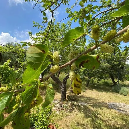 Casa Gianre * Monopoli