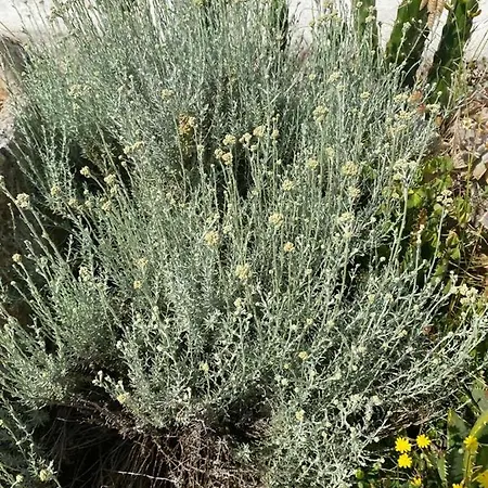 Εξοχικό σπίτι Casa Gianre Monopoli